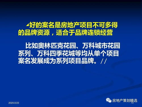 策划 房地产项目主题策划.ppt